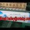 Taizy macadamia nuts shell cutting machine /industrial Macadamia nuts cracking machine