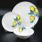 European Fashionable Simple design white airline dinnerware set