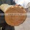 Runshine since 1989 DWC22 wood chipper with diesel engine