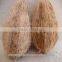 550 gm to 1000gm coconuts supplier from pollachi