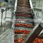 Tomatoes souse Processor Tomato Processing Machine Automatic Production Line Of Tomato Puree