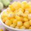 Sinocharm High quality canned sweet corn kernel canned corn