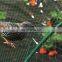 2x5m Polyethylene Plastic Vineyard Anti Bird Protection Net for Protecting Grape HYY