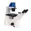Inverted biological microscope MI40