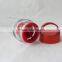 BPA FREE infusion bottle with filter
