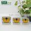 2015 Luxury Green Plastic Acrylic Cream Jar With Screw Cap 20g 30g 50g