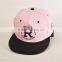 BSH012D New style 3d print letter logo snapback baseball caps Sport hat