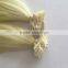 100% Remy Hair U Tip Keratin Human Hair Extension