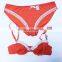 2017Christmas design most popular and hot sale young girl bra set