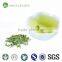 Savoring tea tin box gift packing topping bubble organic green tea
