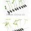 Fashion Unisex Bean Sprouts Flower Fruits Plants Grass Hairpins Funny Antenna Hairpins/Hair Clips TD50B