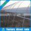 Large economical industrial insect net ventilation greenhouse