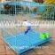 Dog Crate Of Exquisite Workmanship