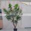 artificial plant Winter jasmine tree