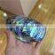 Polished Abalone Colorful Shell For Sale