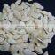 China shin skin pumkin seeds kernels for sale