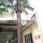 steel telecommunication bionic palm tree tower/decorative palm tree                        
                                                                                Supplier's Choice