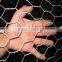 High Quality Galvanzied Hexagonal Wire Mesh