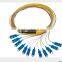 waterproof SC apc singlemode fan-out fiber optic pigtail,bundle 12 cores sc fiber pigtails