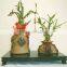 indoor plants 30cm straight lucky bamboo live plants