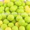 Tennis Shape chewy round bubble gum