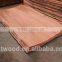 4*8 rotaryt cut natural pencil cedar veneer with real factory in India market