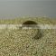 raw buckwheat kernel export