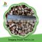 Low Price Frozen IQF Bvitamin High Quality Shiitake With Original Flavor