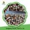 High Quality Frozen Sliced Shiitake Mushroom
