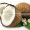 Organic Virgin Coconut Oil