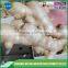 Professional supplier,exporter dry ginger