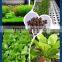 Aquaponic and Hydroponics Expanded Clay Balls Wholesale with reasonable price