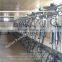 Dairy Goats Automatic Milking Parlor with Automatic Cluster Remover