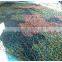3D Leaf Like Versatile Anti Fire Woodland Military Camouflage Nets Hunting Camp