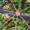 Adjustable Dripper Irrigation