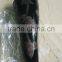 Polished Drinking Horn