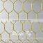 Stainless steel hexagonal wire mesh