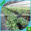 Garden cultivate flowers plastic bags for plants