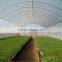 Tunnel Greenhouse film from China Manufacturer