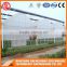 2016 China agriculture farming plastic greenhouse