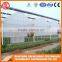 2016 China Agriculture Farming Plastic Greenhouse