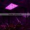 LED Grow Light 1000W Full Spectrum Plant Light for Hydroponic Indoor Plant Veg&bloom (White)