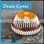 DC - D1810A Environmental Protection Dome Yard Floor Drain