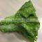 artificial romaine lettuce cos lachca sativa E09 02