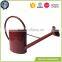 Zinc plant hand painted mini metal watering can