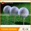 2 pieces practice blank golf ball high quality