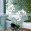 Artificial Orchids indoor plant for decorated