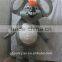 NO.2166 wild animal mascot costume coala disguise