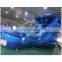 Best selling inflatable water slides for sale, large inflatable water slide for adult