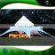 Wonderful Design Beautiful Outdoor Event Star Tent Spider Advertising Cheap Star Shade Star Tent